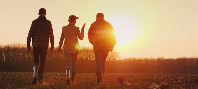 Three farmers walking through field at sunset