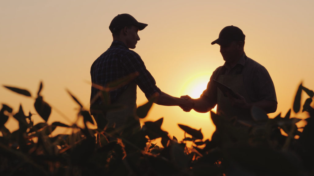 Two farmers talk in field, shake hands.